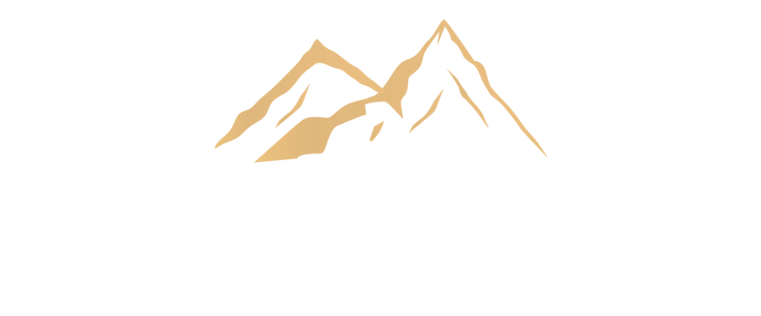 Logo Ossau Écriture Blanc - Transparent